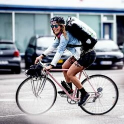 ORTLIEB Messenger Bag Pro 39L -Abus Shop 313108 03 d 646702