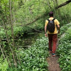 Exped Stormrunner 15 Backpack - Lichen -Abus Shop exped stormrunner 2 1218047