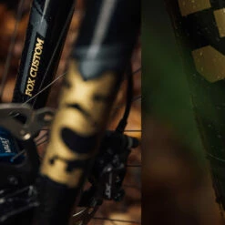 FOX CUSTOM Decal Kit For Fork & Rear Shock - Kashima -Abus Shop fox am decal lifestyle carousel 1 1120680 2