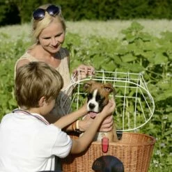 KLICKfix Doggy Basket Fix - Hondenfietsmand -Abus Shop klickfix 0399 8 1432464