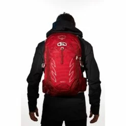 Osprey Talon 22 Rugzak - Limon Green - L/XL -Abus Shop osprey talon 22 backpack cosmic red 12 986209