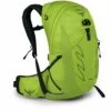 Osprey Talon 22 Rugzak - Limon Green - S/M -Abus Shop osprey talon 22 backpack limon green 1 986214
